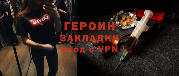 гашик Алексин