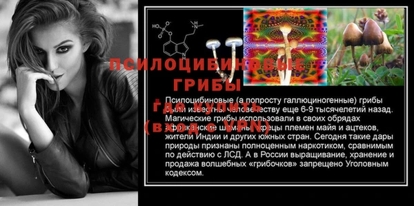 гашик Алексин