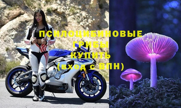гашик Алексин