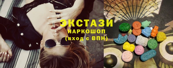 гашик Алексин