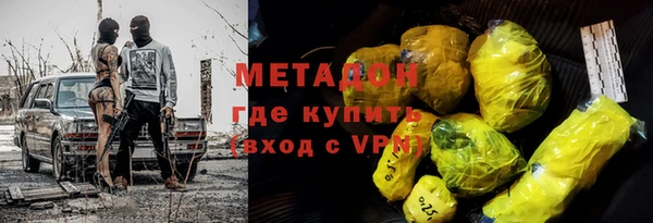 гашик Алексин